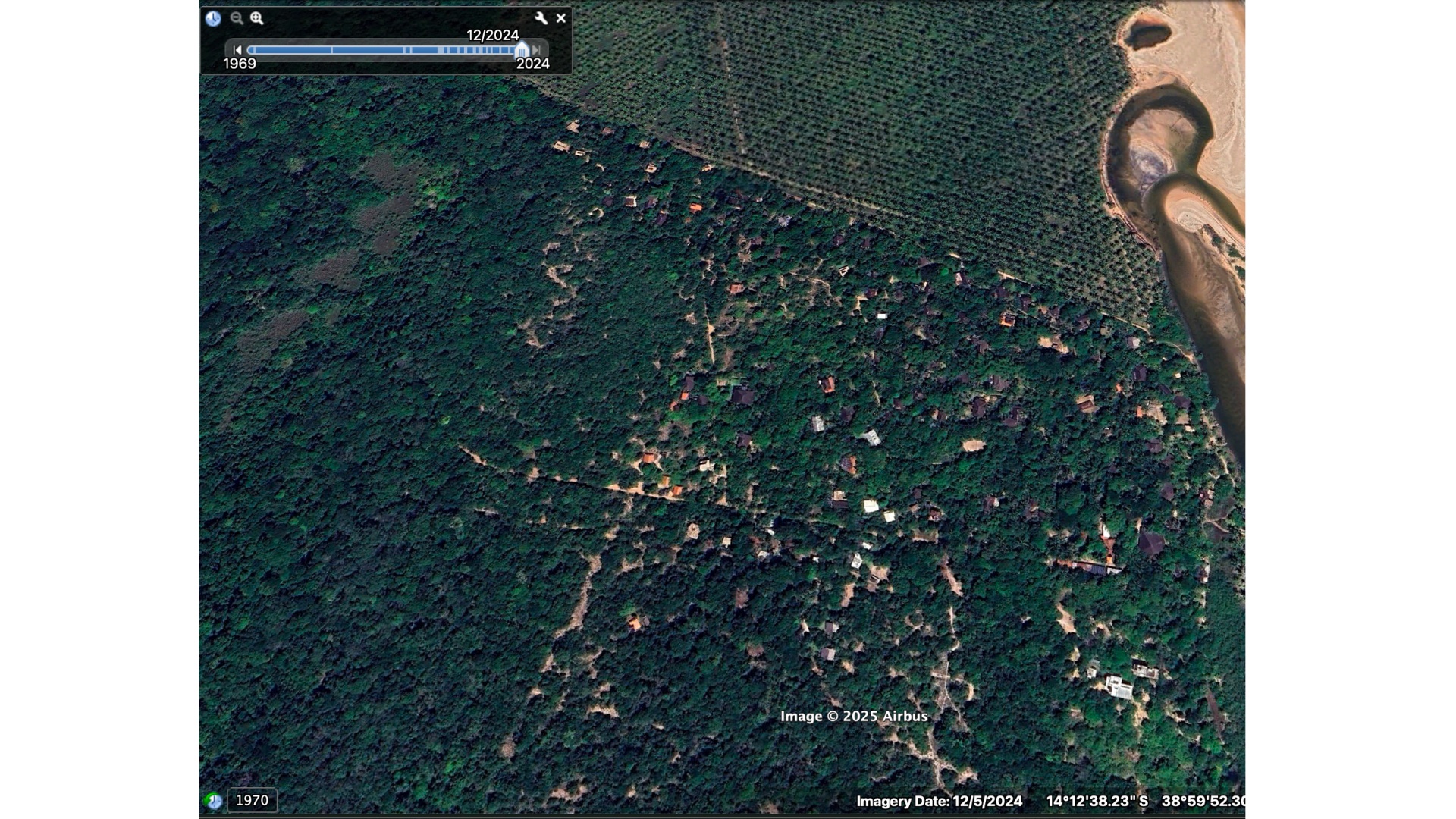 Piracanga 2024 — floresta regenerada